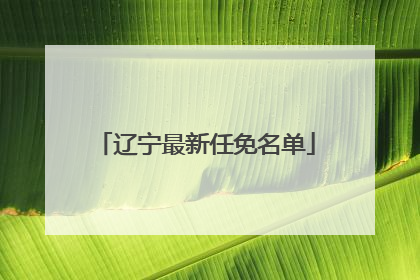 辽宁最新任免名单